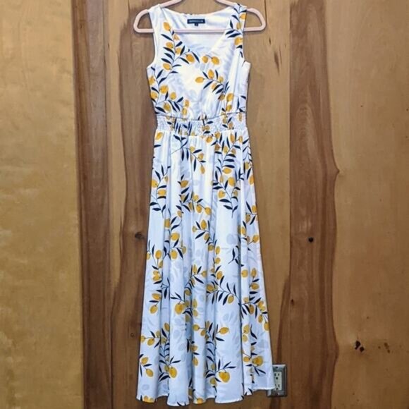 Olive Branch (Possibly Lemons) Long Sleeveless Maxi Sz S - Picture 1 of 7